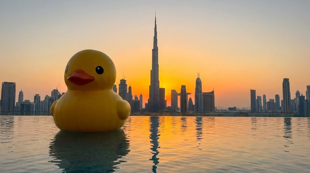 Вид из басейна