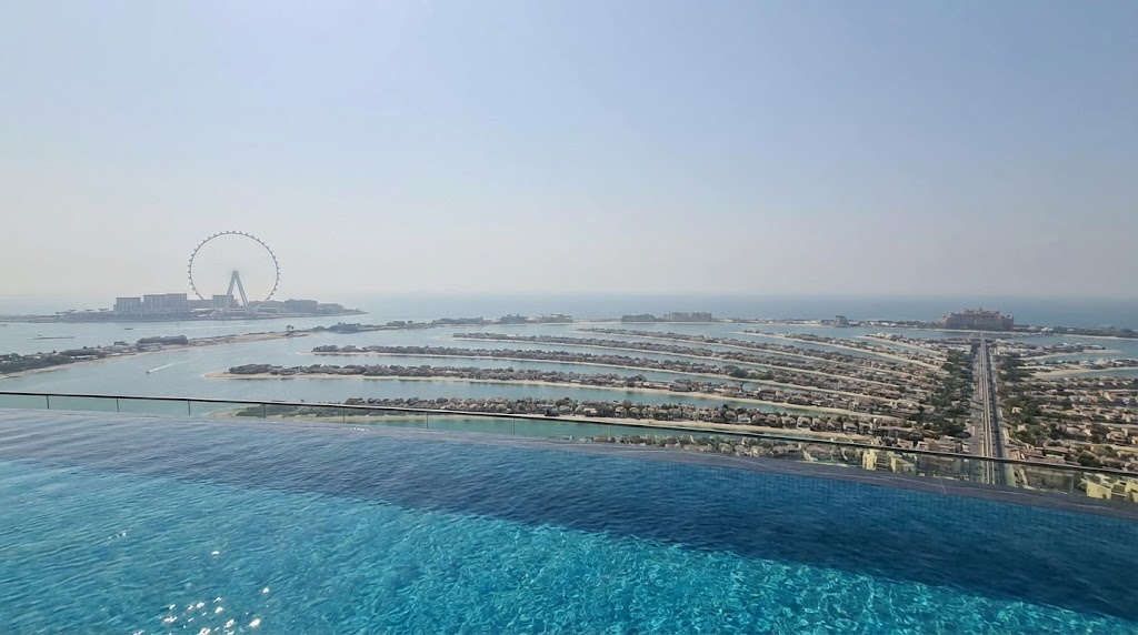 Басейн с видом на пальму Дубая