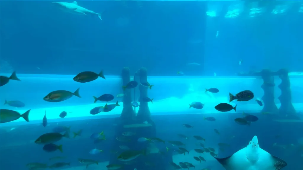 Аквариум Atlantis Aquaventure