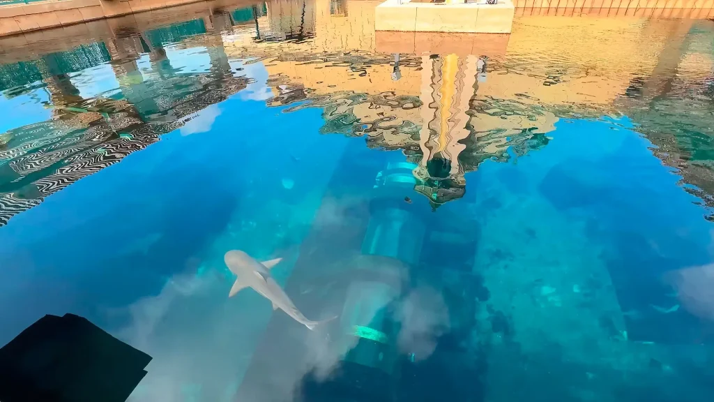 бассейн Atlantis Aquaventure