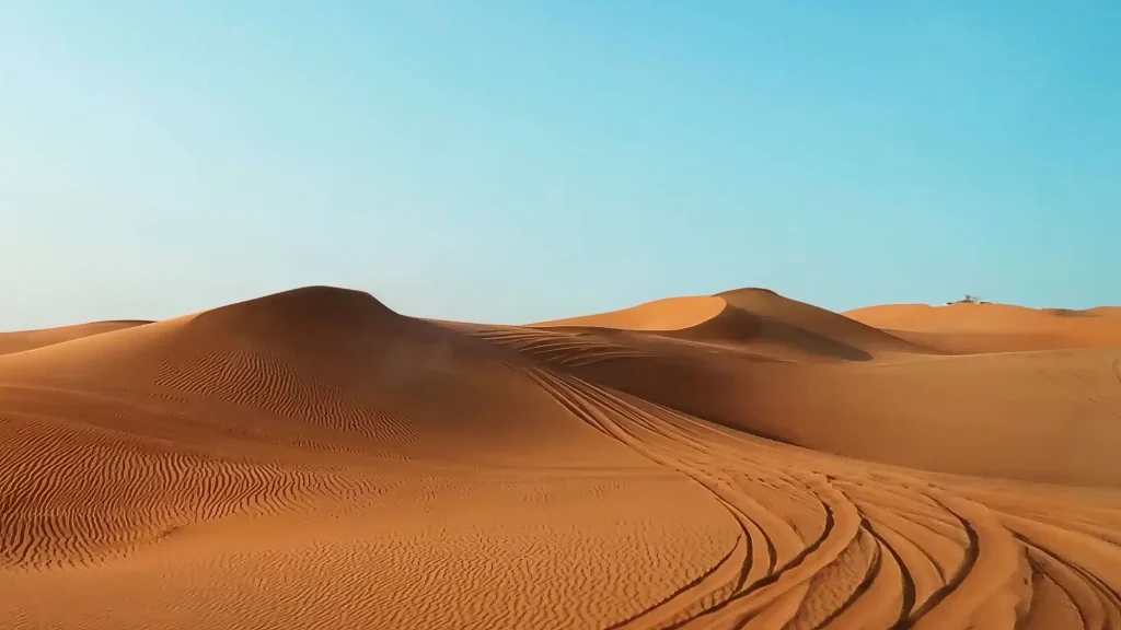 Сафари в пустыне