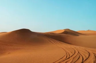 Сафари в пустыне