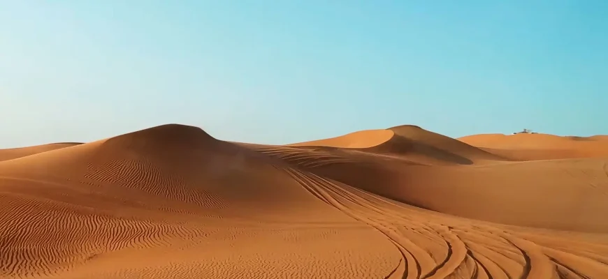 Сафари в пустыне