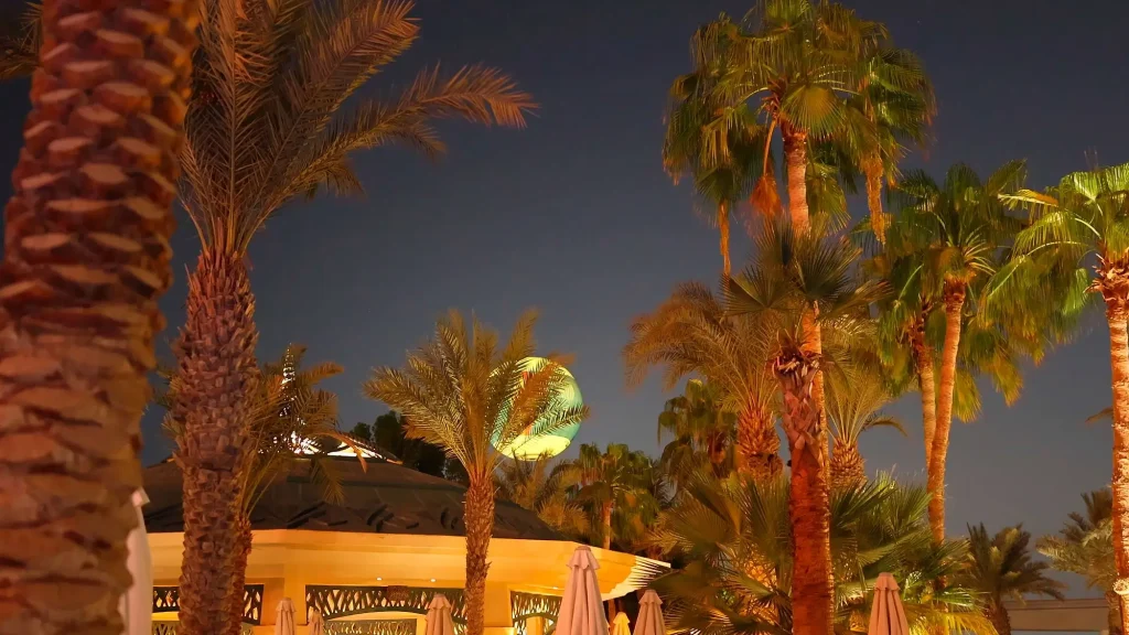 Погода в Дубаи