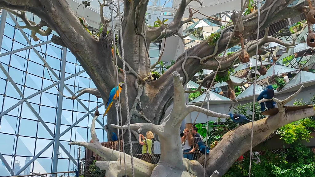 The Green Planet с птицами