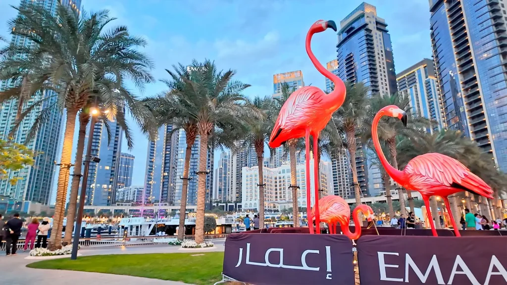 Фламинго Dubai Creek Harbour