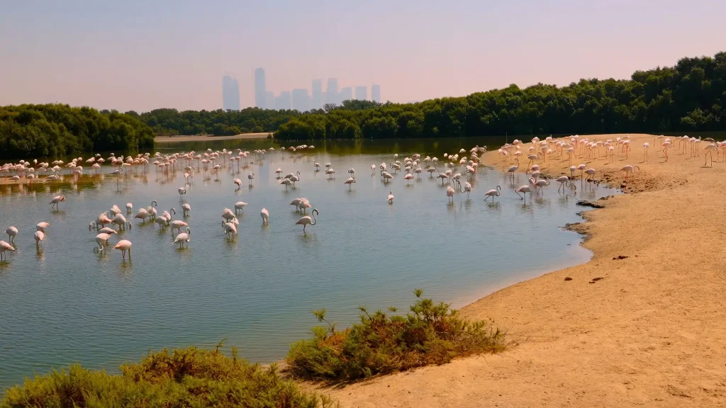 Ras Al Khor Wildlife Sanctuary