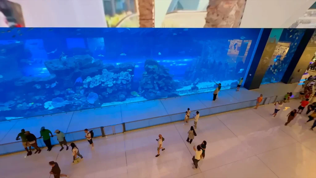 Dubai Aquarium