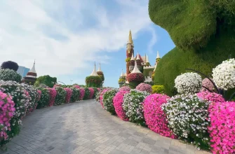 Цветочные парки Дубая