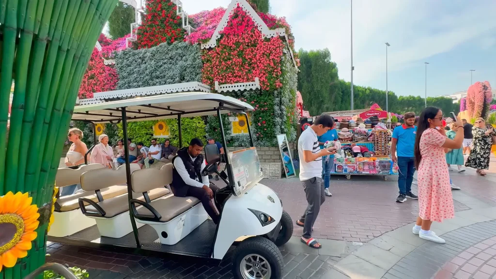 Инсталяции в парке