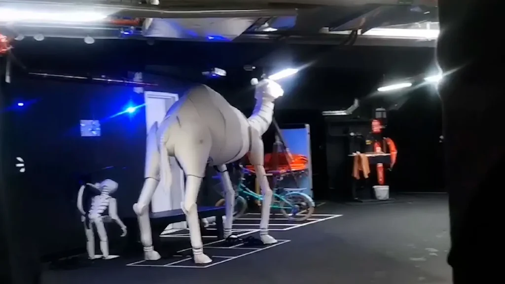 Верблюд из шоу