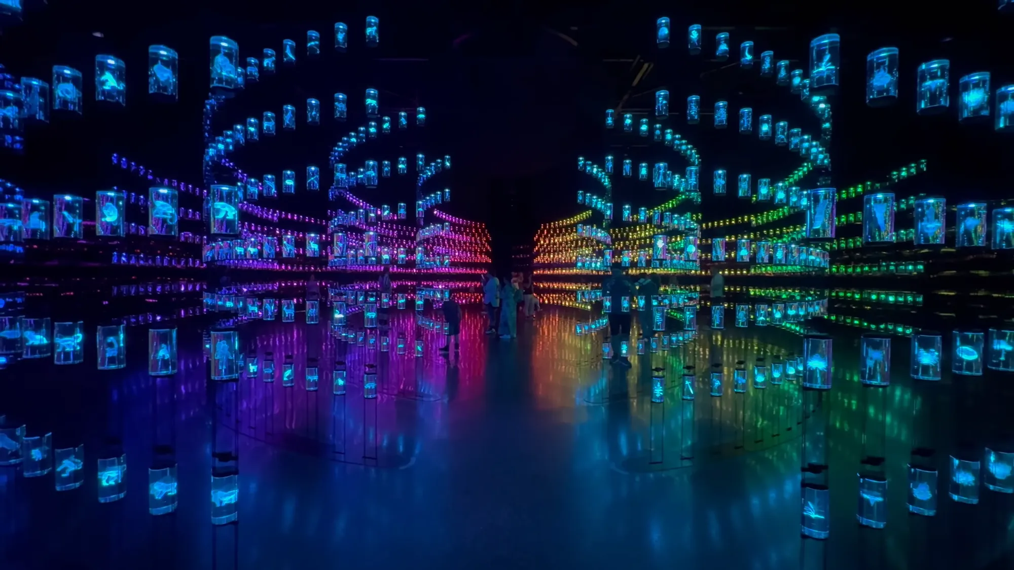 Библиотека ДНК