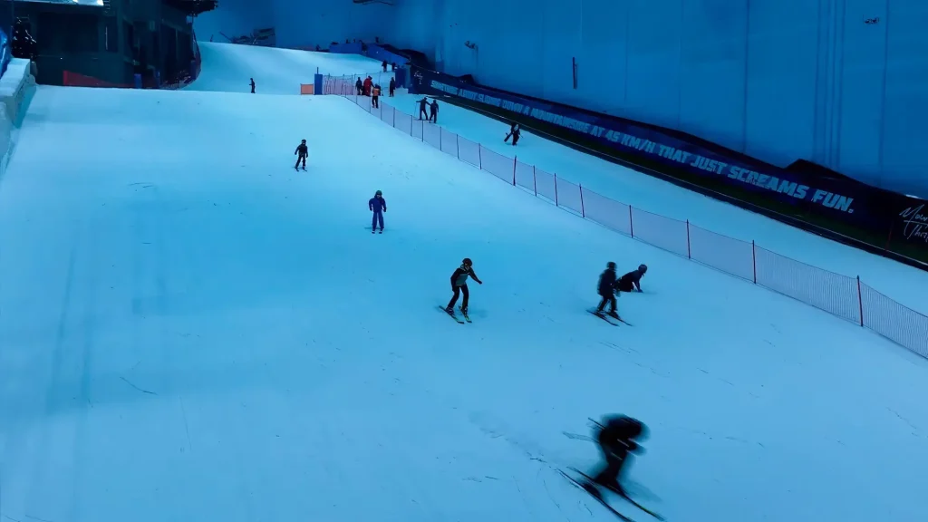 Лыжники по Skill Check