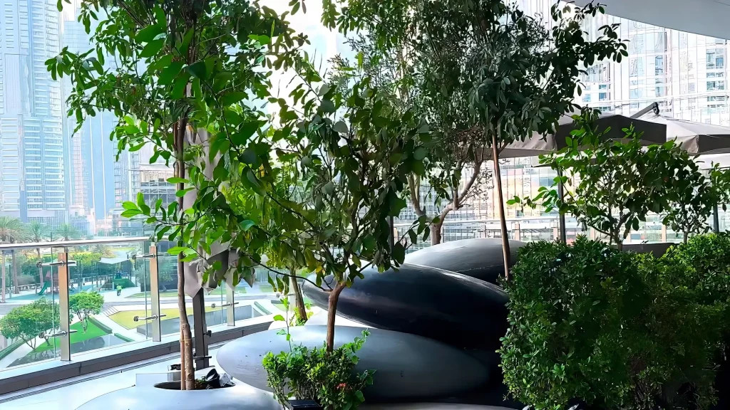 Балкон Dubai Mall